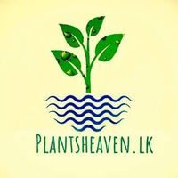 Plantsheavenlk