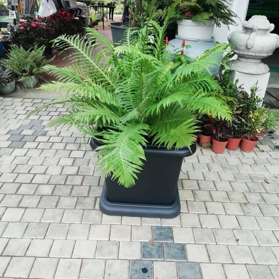 Quality Flower Pot