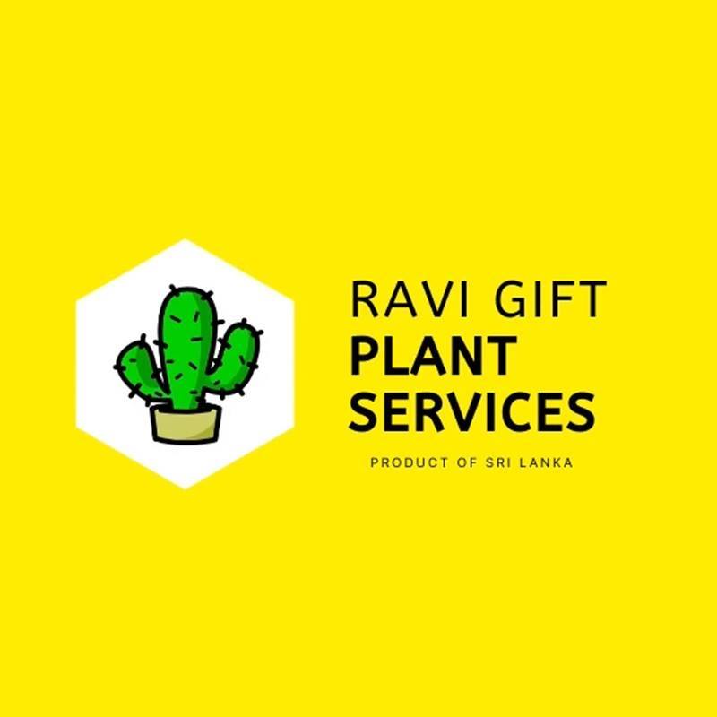 Ravindu Chathuranga
