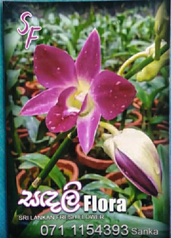Sadali Flora