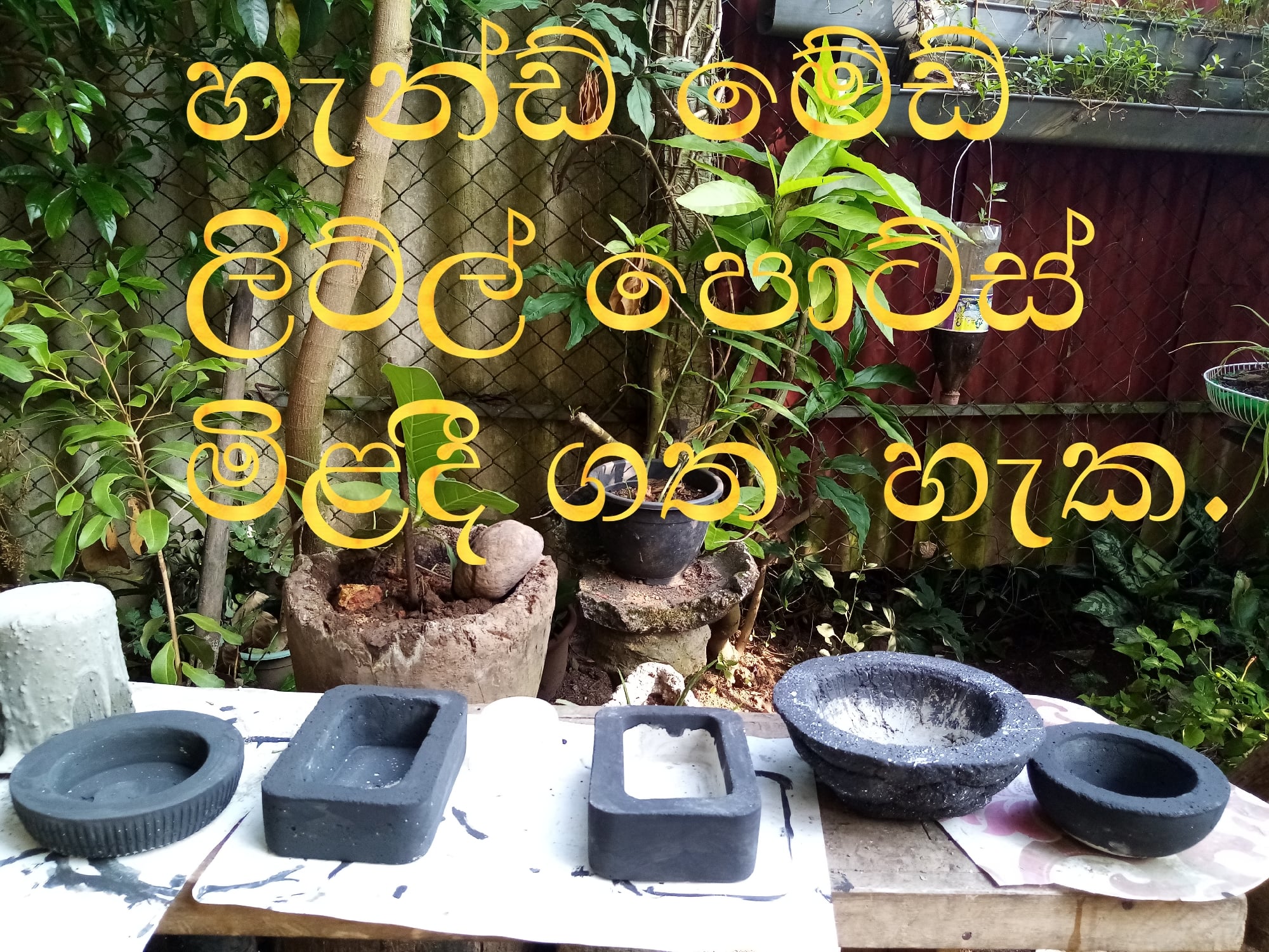 Samali Amarasinghe