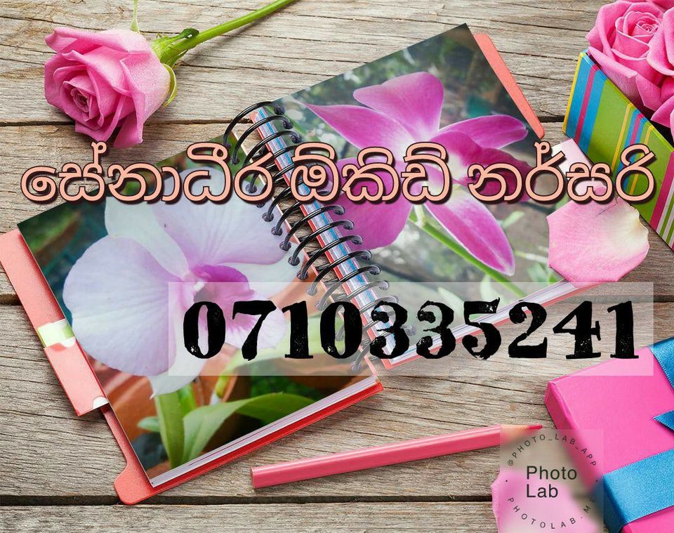 Senadheera Orchid Nursery