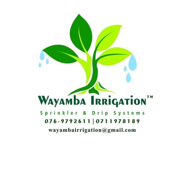 Sprinkler System drip irrigation