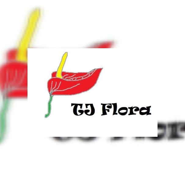 TJ Flora