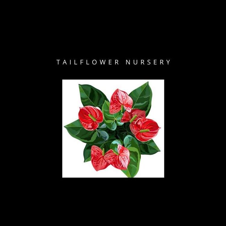 Tailflower Nursery