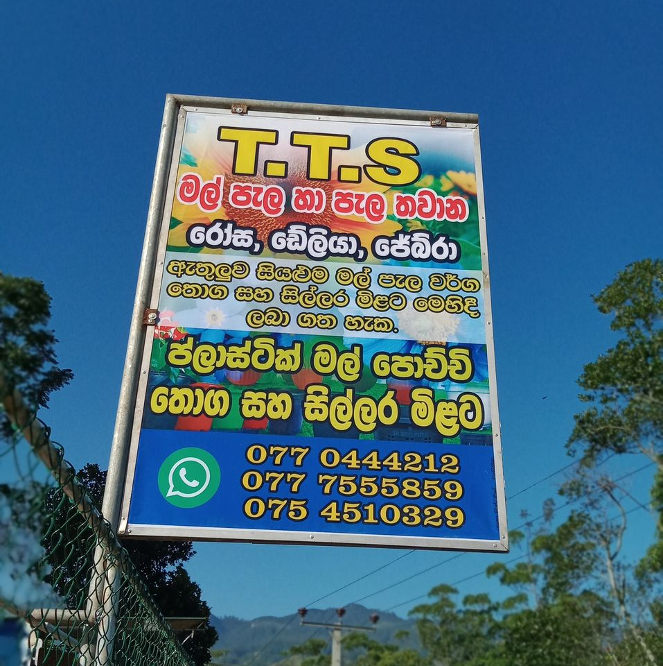 Tts Flower Nursery