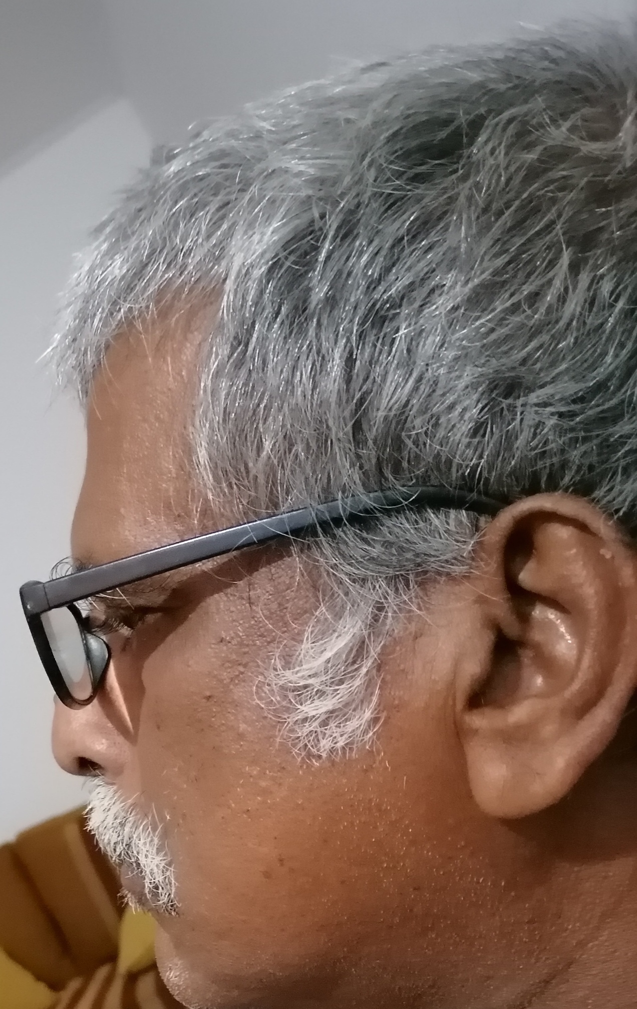 H.D.Gamini Siripala 